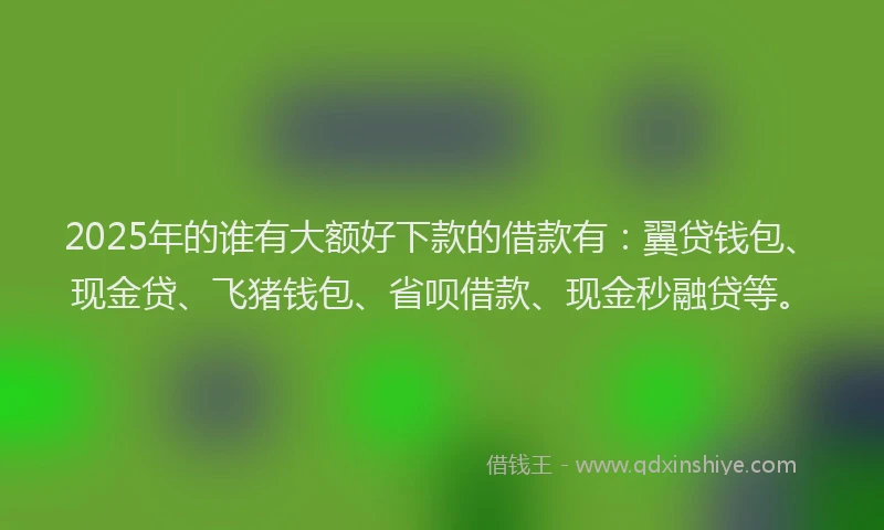 2025年的谁有大额好下款的借款有：翼贷钱包、现金贷、飞猪钱包、省呗借款、现金秒融贷等。