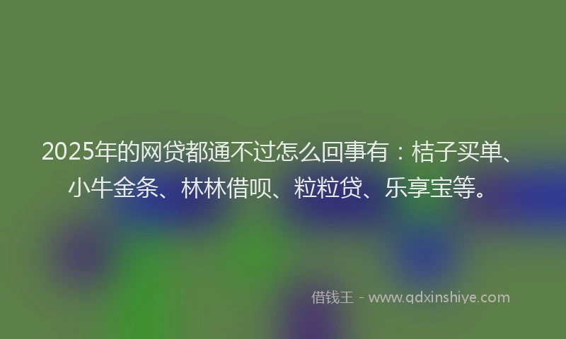 2025年的网贷都通不过怎么回事有：桔子买单、小牛金条、林林借呗、粒粒贷、乐享宝等。