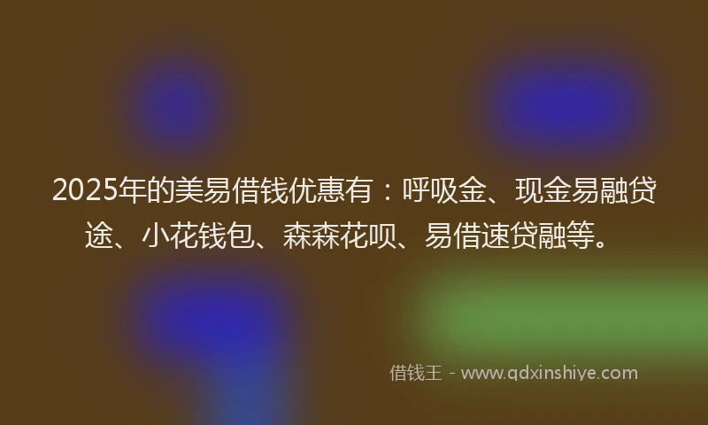 2025年的美易借钱优惠有：呼吸金、现金易融贷途、小花钱包、森森花呗、易借速贷融等。