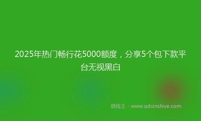 2025年热门畅行花5000额度，分享5个包下款平台无视黑白