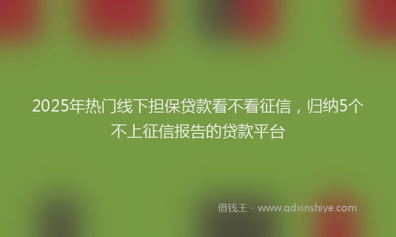 2025年热门线下担保贷款看不看征信，归纳5个不上征信报告的贷款平台