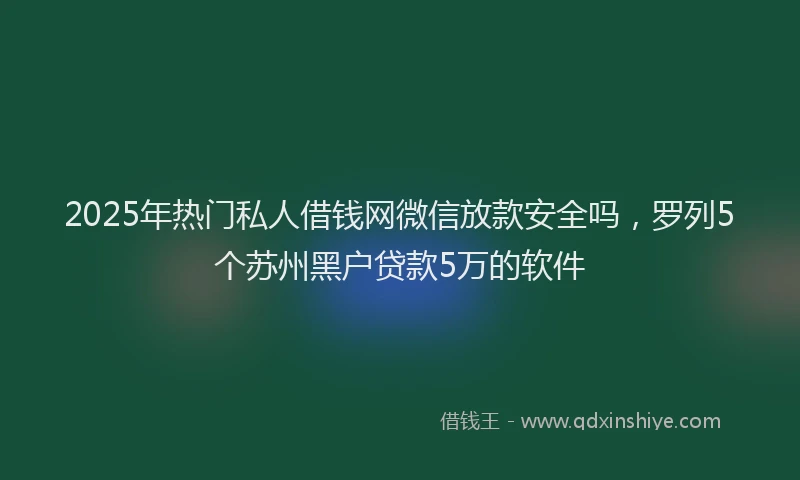2025年热门私人借钱网微信放款安全吗，罗列5个苏州黑户贷款5万的软件