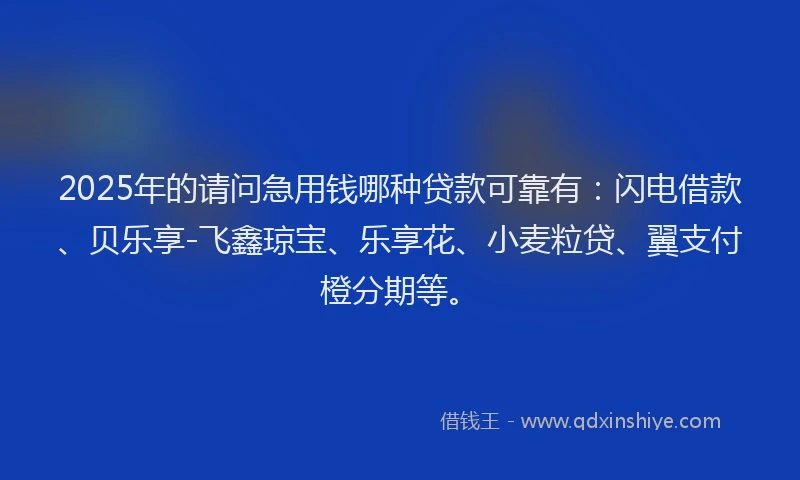 2025年的请问急用钱哪种贷款可靠有：闪电借款、贝乐享-飞鑫琼宝、乐享花、小麦粒贷、翼支付橙分期等。