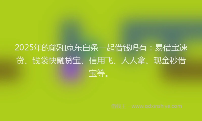 2025年的能和京东白条一起借钱吗有：易借宝速贷、钱袋快融贷宝、信用飞、人人拿、现金秒借宝等。