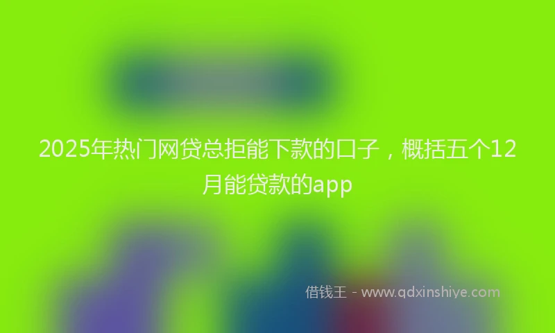 2025年热门网贷总拒能下款的口子，概括五个12月能贷款的app