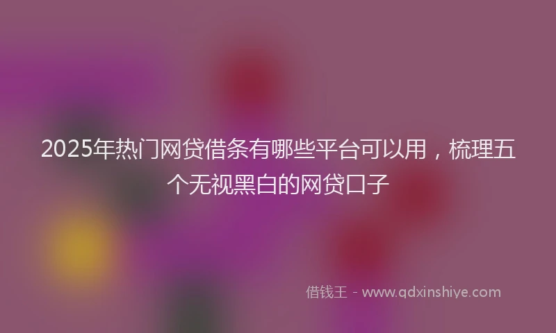 2025年热门网贷借条有哪些平台可以用，梳理五个无视黑白的网贷口子