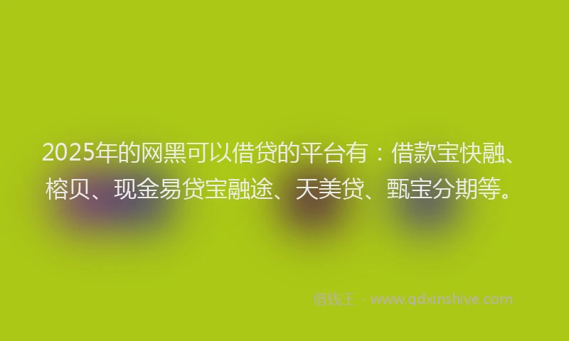 2025年的网黑可以借贷的平台有：借款宝快融、榕贝、现金易贷宝融途、天美贷、甄宝分期等。
