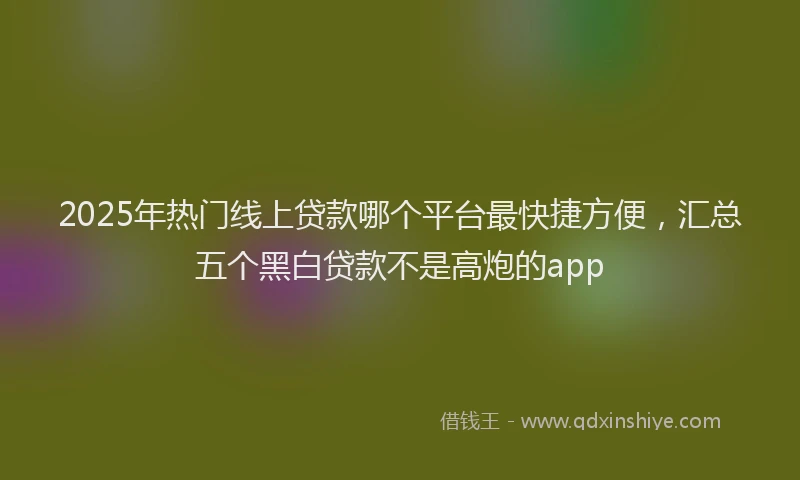 2025年热门线上贷款哪个平台最快捷方便，汇总五个黑白贷款不是高炮的app