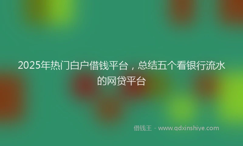 2025年热门白户借钱平台，总结五个看银行流水的网贷平台