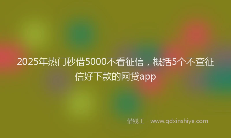 2025年热门秒借5000不看征信，概括5个不查征信好下款的网贷app