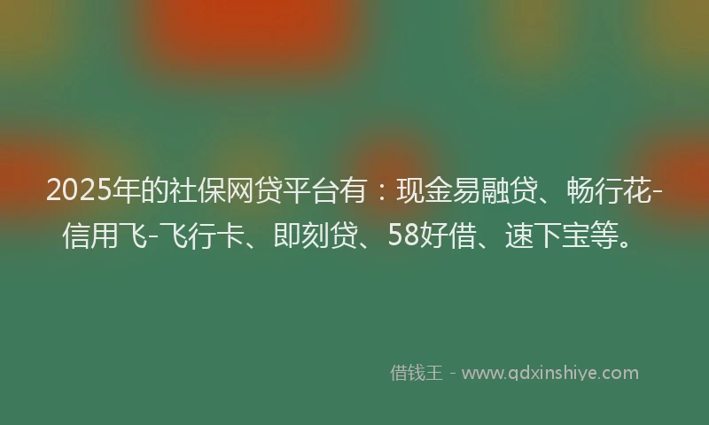 2025年的社保网贷平台有：现金易融贷、畅行花-信用飞-飞行卡、即刻贷、58好借、速下宝等。