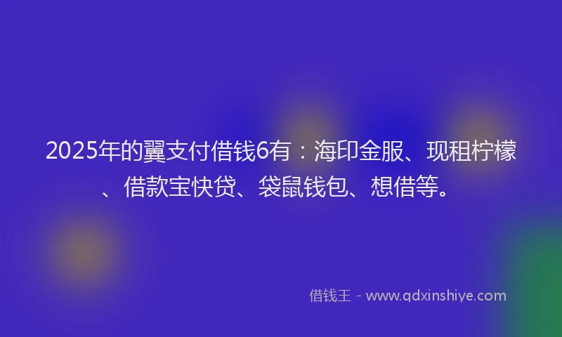2025年的翼支付借钱6有：海印金服、现租柠檬、借款宝快贷、袋鼠钱包、想借等。