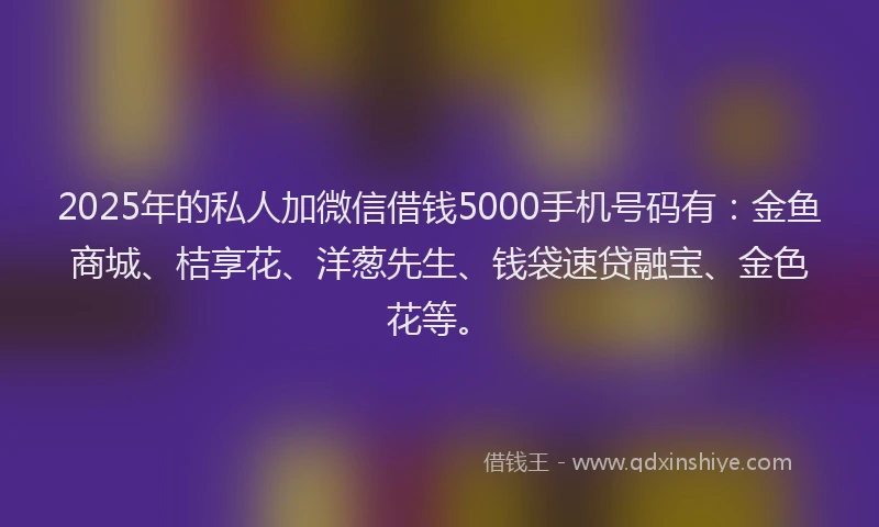 2025年的私人加微信借钱5000手机号码有：金鱼商城、桔享花、洋葱先生、钱袋速贷融宝、金色花等。