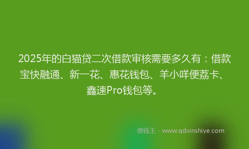 2025年的白猫贷二次借款审核需要多久有：借款宝快融通、新一花、惠花钱包、羊小咩便荔卡、鑫速Pro钱包等。