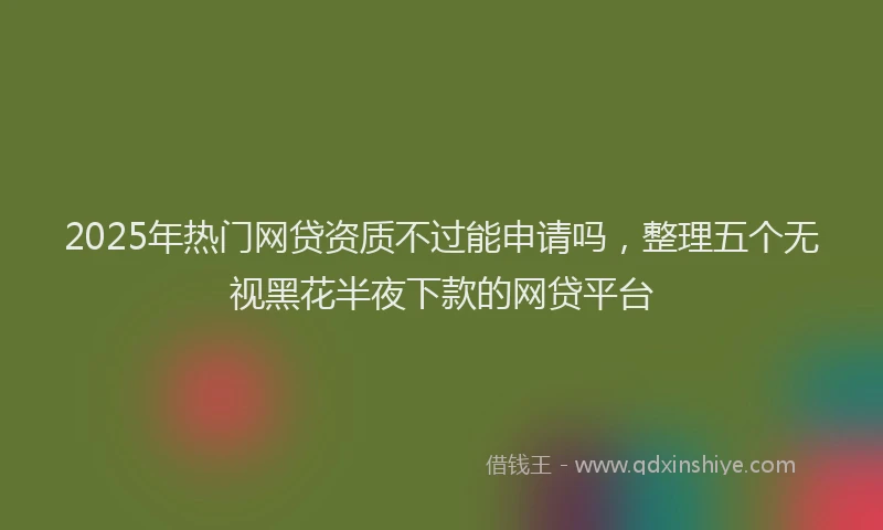 2025年热门网贷资质不过能申请吗，整理五个无视黑花半夜下款的网贷平台