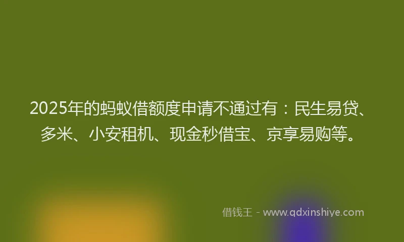 2025年的蚂蚁借额度申请不通过有：民生易贷、多米、小安租机、现金秒借宝、京享易购等。