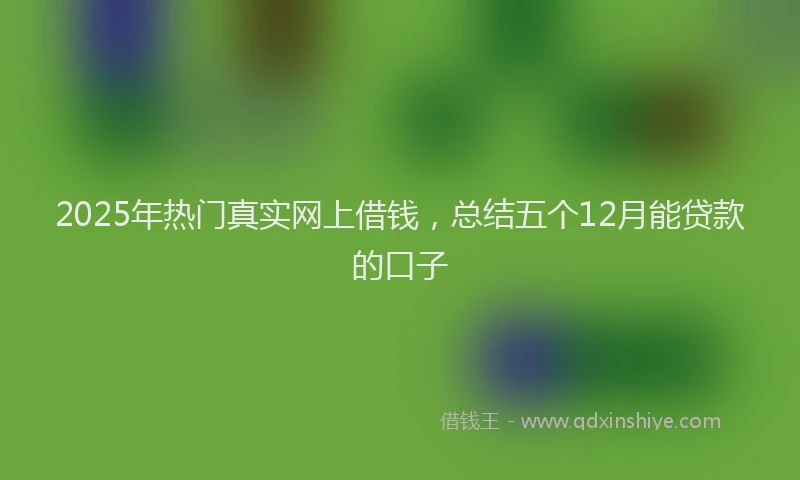 2025年热门真实网上借钱，总结五个12月能贷款的口子