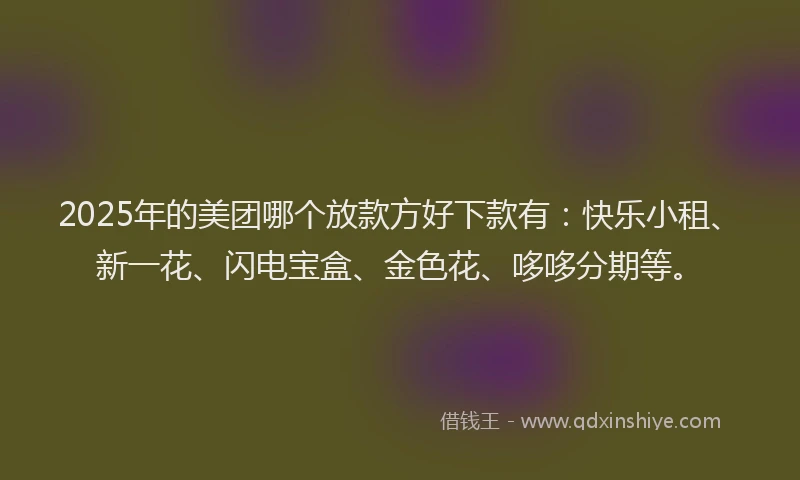 2025年的美团哪个放款方好下款有：快乐小租、新一花、闪电宝盒、金色花、哆哆分期等。