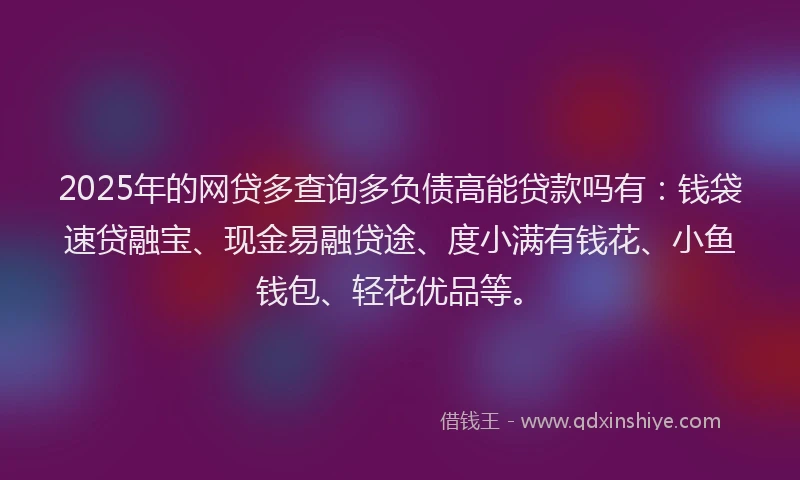2025年的网贷多查询多负债高能贷款吗有：钱袋速贷融宝、现金易融贷途、度小满有钱花、小鱼钱包、轻花优品等。