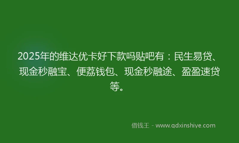 2025年的维达优卡好下款吗贴吧有：民生易贷、现金秒融宝、便荔钱包、现金秒融途、盈盈速贷等。