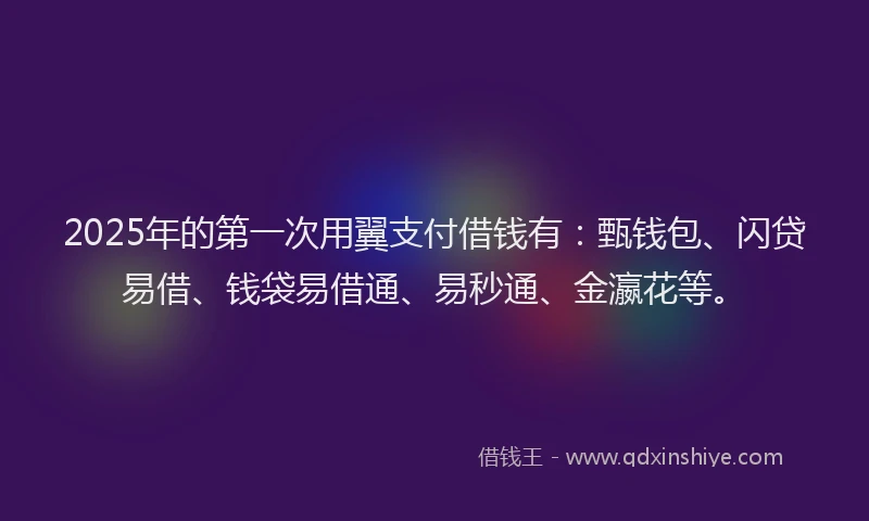 2025年的第一次用翼支付借钱有：甄钱包、闪贷易借、钱袋易借通、易秒通、金瀛花等。