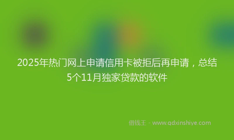 2025年热门网上申请信用卡被拒后再申请，总结5个11月独家贷款的软件