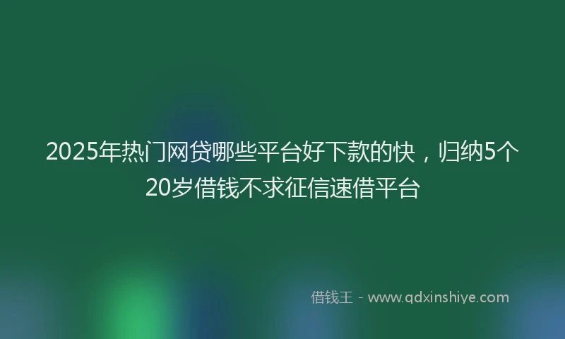 2025年热门网贷哪些平台好下款的快，归纳5个20岁借钱不求征信速借平台