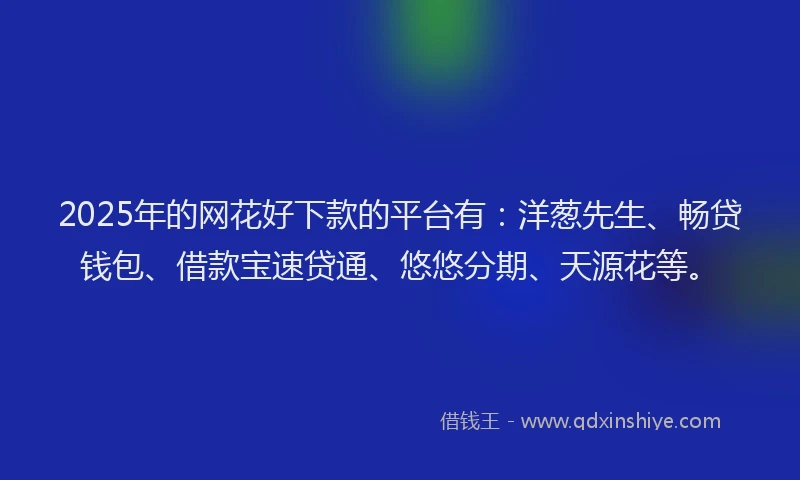 2025年的网花好下款的平台有：洋葱先生、畅贷钱包、借款宝速贷通、悠悠分期、天源花等。