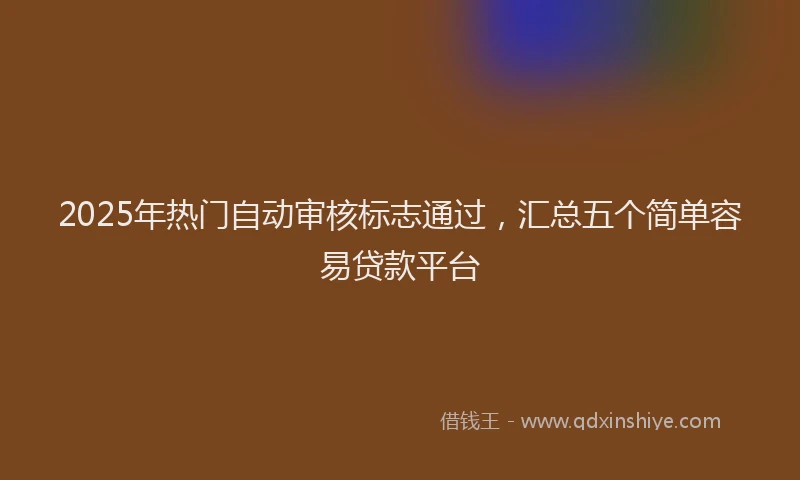 2025年热门自动审核标志通过，汇总五个简单容易贷款平台
