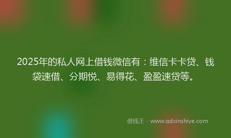 2025年的私人网上借钱微信有：维信卡卡贷、钱袋速借、分期悦、易得花、盈盈速贷等。