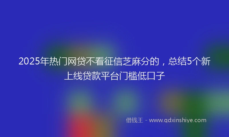 2025年热门网贷不看征信芝麻分的，总结5个新上线贷款平台门槛低口子