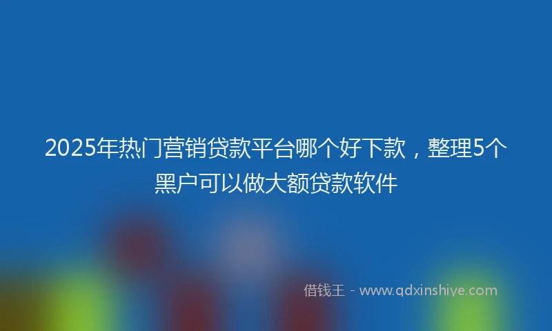 2025年热门营销贷款平台哪个好下款，整理5个黑户可以做大额贷款软件