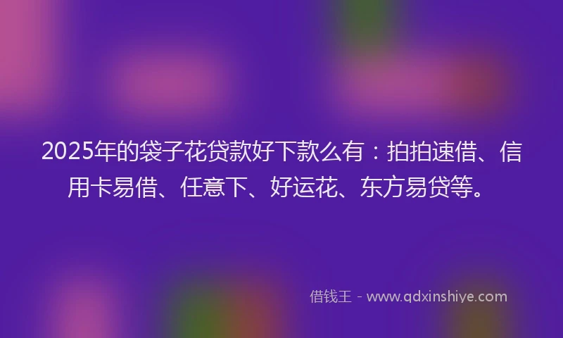 2025年的袋子花贷款好下款么有：拍拍速借、信用卡易借、任意下、好运花、东方易贷等。