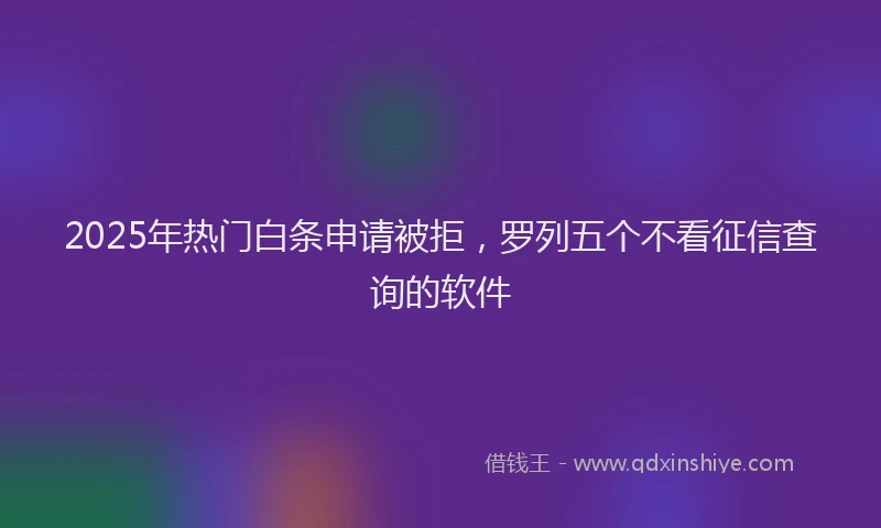 2025年热门白条申请被拒，罗列五个不看征信查询的软件