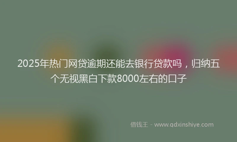 2025年热门网贷逾期还能去银行贷款吗，归纳五个无视黑白下款8000左右的口子