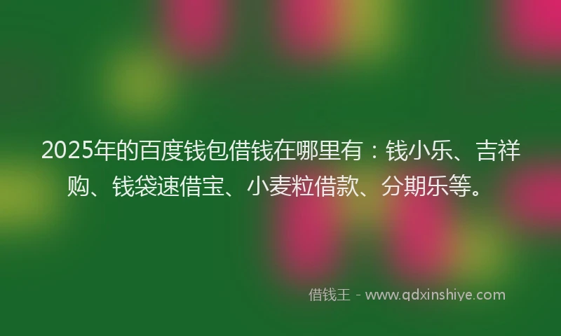 2025年的百度钱包借钱在哪里有：钱小乐、吉祥购、钱袋速借宝、小麦粒借款、分期乐等。
