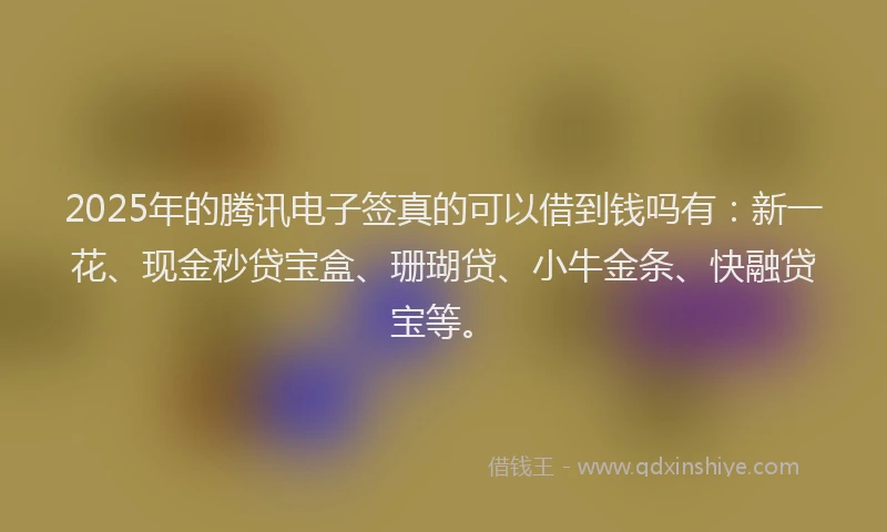 2025年的腾讯电子签真的可以借到钱吗有：新一花、现金秒贷宝盒、珊瑚贷、小牛金条、快融贷宝等。