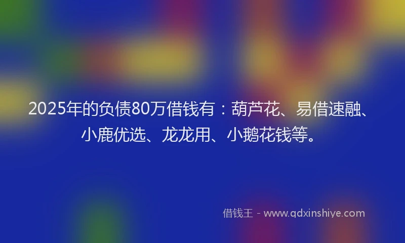 2025年的负债80万借钱有：葫芦花、易借速融、小鹿优选、龙龙用、小鹅花钱等。