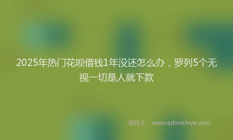 2025年热门花呗借钱1年没还怎么办，罗列5个无视一切是人就下款