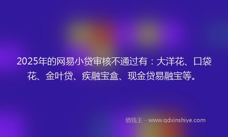 2025年的网易小贷审核不通过有：大洋花、口袋花、金叶贷、疾融宝盒、现金贷易融宝等。