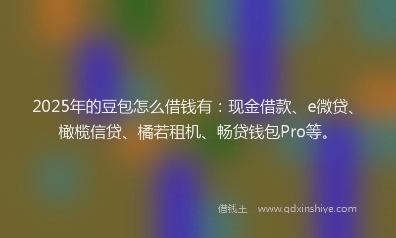 2025年的豆包怎么借钱有：现金借款、e微贷、橄榄信贷、橘若租机、畅贷钱包Pro等。