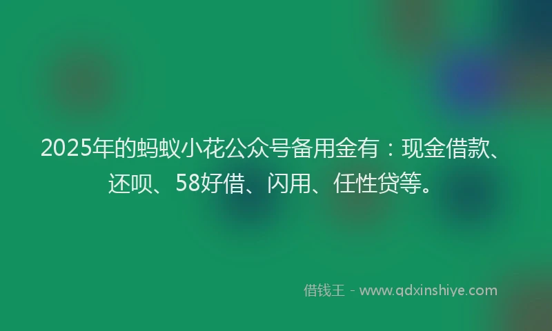 2025年的蚂蚁小花公众号备用金有：现金借款、还呗、58好借、闪用、任性贷等。