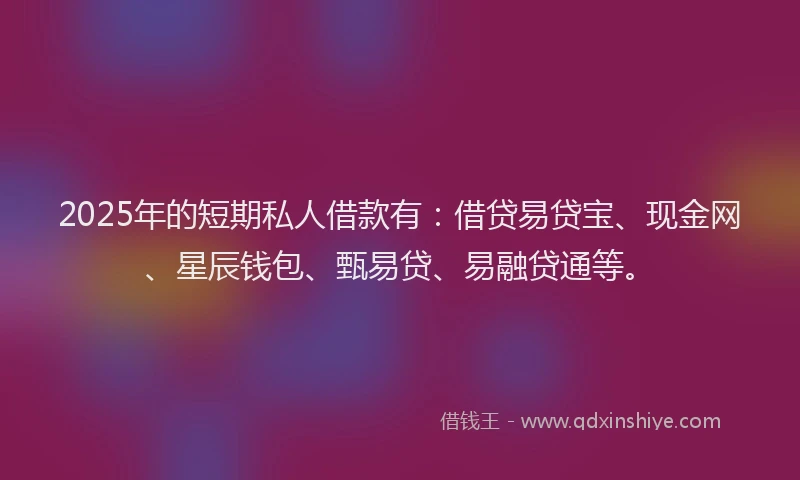 2025年的短期私人借款有：借贷易贷宝、现金网、星辰钱包、甄易贷、易融贷通等。