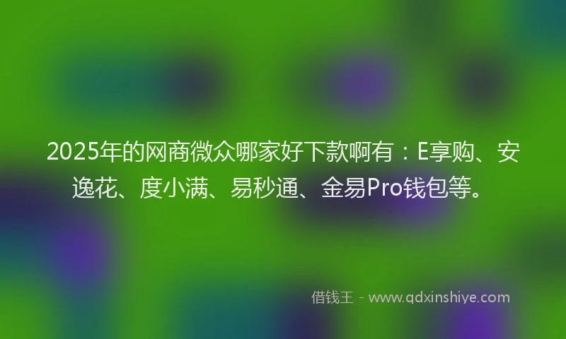 2025年的网商微众哪家好下款啊有：E享购、安逸花、度小满、易秒通、金易Pro钱包等。