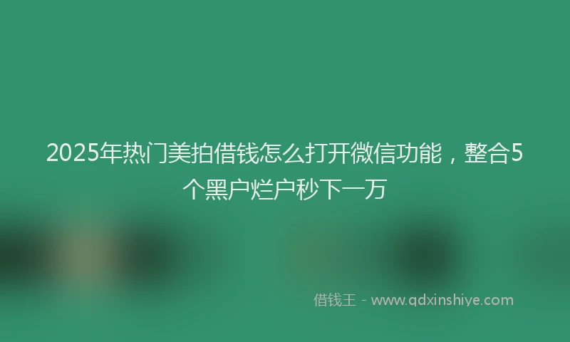2025年热门美拍借钱怎么打开微信功能，整合5个黑户烂户秒下一万