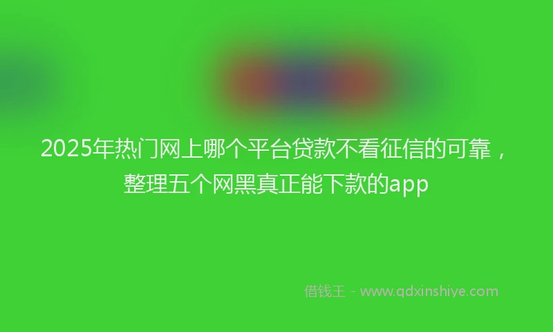 2025年热门网上哪个平台贷款不看征信的可靠，整理五个网黑真正能下款的app