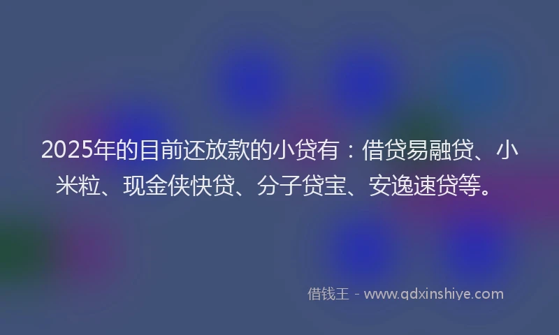 2025年的目前还放款的小贷有：借贷易融贷、小米粒、现金侠快贷、分子贷宝、安逸速贷等。