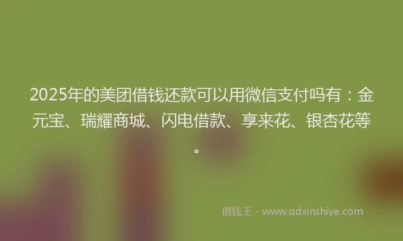 2025年的美团借钱还款可以用微信支付吗有：金元宝、瑞耀商城、闪电借款、享来花、银杏花等。