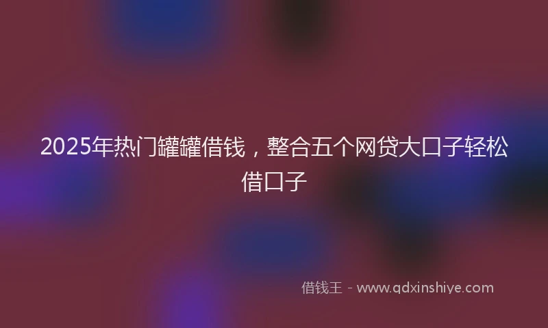 2025年热门罐罐借钱，整合五个网贷大口子轻松借口子