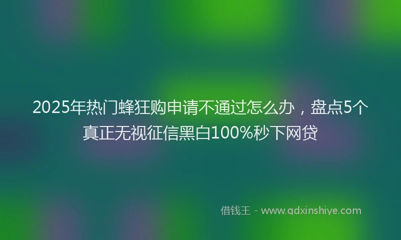 2025年热门蜂狂购申请不通过怎么办，盘点5个真正无视征信黑白100%秒下网贷